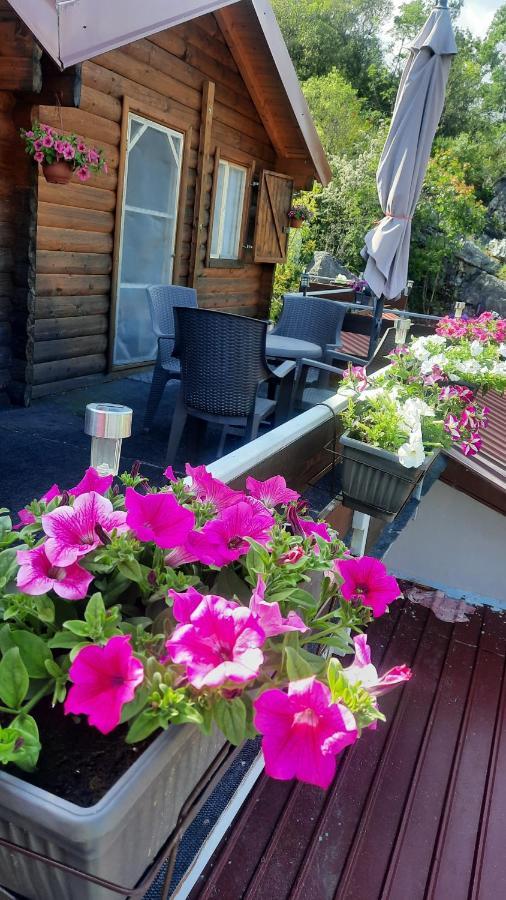 Mali Raj Apartmani Cetinje Dış mekan fotoğraf